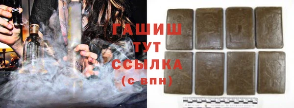 индика Белокуриха