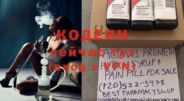 индика Белокуриха
