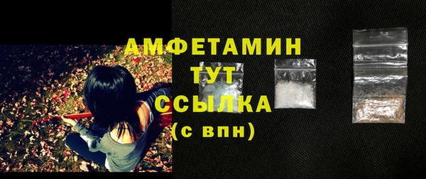 индика Белокуриха