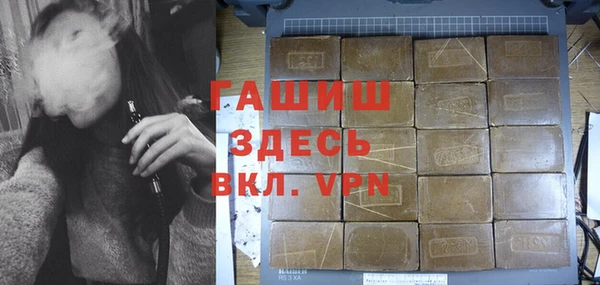 индика Белокуриха