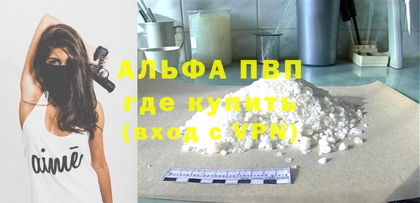 индика Белокуриха