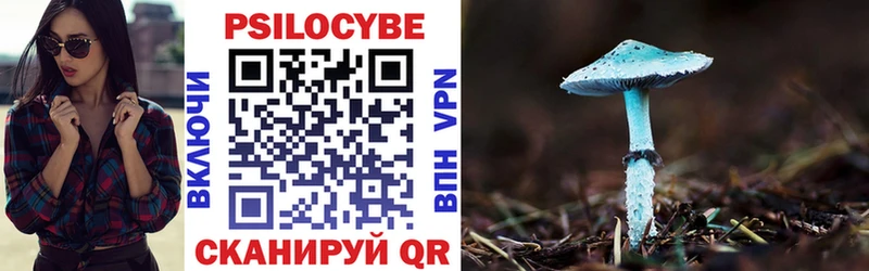 Галлюциногенные грибы Magic Shrooms  Купить закладки  Черемхово 
